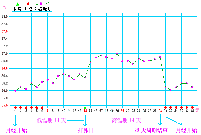 排卵期体温是多少_体温排卵期体温是多少_体温排卵期是多少度